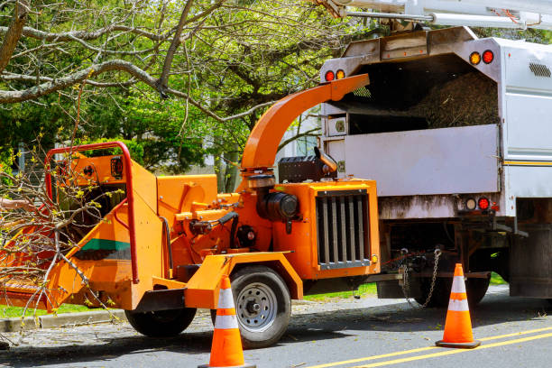 Best Emergency Tree Removal  in Wytheville, VA