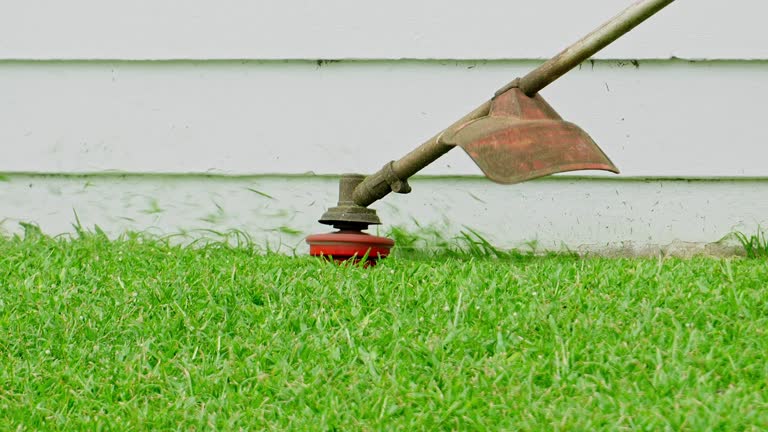 Best Utility Line Clearance  in Wytheville, VA